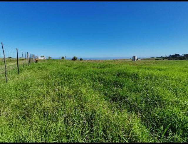 LAND FOR SALE IN GEORGE RURAL